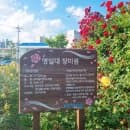 포항 여행코스 영일대장미원 feat. 영일대 공영주차장 요금