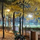 서울 노원 마들스타디움 무료 반려견놀이터 운동장 주차요금