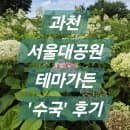 서울대공원 테마가든 수국 후기 | 2026년 7월 12일 개화율, 주차 요금, 가는법