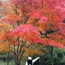 설악산 국립공원 단풍 실시간 케이블카 예약 주차장 요금 설악산뷰숙소 리조트 추천