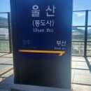 울산역 리무진버스시간표 주차장 주차요금 총정리