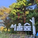 서울 단풍 명소 11월 첫째 주 서울숲 은행나무숲, 거울연못, 서울숲 주차요금, 서울숲 루프탑 카페 센터...