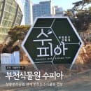 부천 식물원 수피아 주차 요금 할인 정보