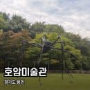 [용인] 호암미술관｜가을에 가기 좋은 미술관, 단풍명소 산책 명소, 주차요금 정보