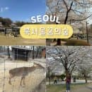 서울 나들이 강북 가볼만한곳 북서울꿈의숲 벚꽃 주차 요금 사슴 피크닉