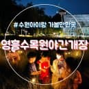 수원 아이랑 영흥수목원 야간개장 주차요금 입장료 할인 맛집