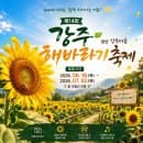 축제 2026총정리: 14회 함안 강주 마을 실시간 개화 상황부터 주차 요금 꿀팁까지! 경남 가볼 만한 곳 추천