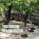 북서울꿈의숲 동문 주차장 주차요금 사슴장 피크닉 장소 (텐트 불가, 애견동반 가능)