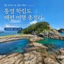 통영 학림도 배편 여행 총정리 달아항 시간표 요금 트레킹 바지락체험 숙박 주차