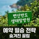 변산반도 생태탐방원 예약, 요금, 프로그램부터 주차 팁까지 완벽 정리!