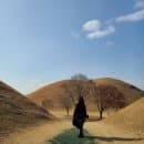 경주 황리단길 공영주차장 : 주차대수와 요금,꿀팁 총 정리