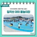[칠곡서포터즈] 아이와 주말 나들이! 칠곡보 야외물놀이장 개장 후기 (요금, 예약, 주차, 할인 꿀팁)