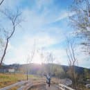 서울 근교 가평 양떼목장 10월 11월 가을 수국 축제 입장요금 주차 경기도 드라이브 당일나들이 데이트추천