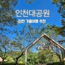 인천러닝코스추천 인천대공원 시설안내 주차장요금 주차정산안내 인천수목원 등