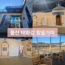 울산 태화강 참숯가마 찜질방 요금 주차장 실내 가볼만한 곳