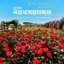 2026: 기차역 5분 거리 주차 및 입장권 구매법부터 증기기관차 시간표 요금 전남 가볼 만한 곳 꿀팁까지!