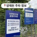 서울 양재천 주차 꿀팁 _ 요금 저렴하고 접근성 좋은 논현로22길공영주차장 정보 정리