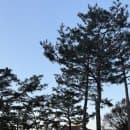 [종로/종각 주차 꿀팁] 경복궁 주차장 요금 &amp; 할인 혜택 총정리! (최신 변경 정보 확인 필수 🚗)