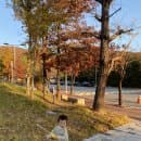 용인 죽전 단풍놀이) 아기랑 단국대학교 단풍놀이, 가볍게 즐기기 좋아요! 주차요금 및 포토스팟 공개