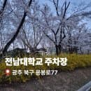 광주 전남대학교 주차요금 정리 광주 북구 벚꽃 명소