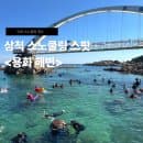 삼척) 요즘 제일 핫한 삼척 <용화해수욕장> 주차,파라솔 요금안내까지