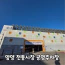 강원도 양양 전통시장 공영 주차장 (주차 요금)