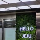 여행] 23개월·6개월 아이 둘과 떠난 제주 여행 (울산공항 주차 요금 &amp; 아기 비행기 꿀팁-아기귀마개)