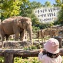 서울대공원 동물원 주차장 주차요금 카카오T 주차할인 주차패스 총정리