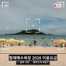 제주바다 협재해수욕장, 2026 이용요금·주차·편의시설 직접 다녀온 솔직후기