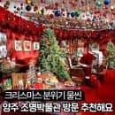2026 양주 조명박물관 크리스마스 산타빌리지 - 예약 입장료 요금 주차 방문꿀팁