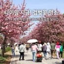 하남 미사경정공원 겹벚꽃 실시간 4/19 주차 요금 마라톤 일정