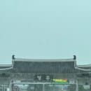 경주 점심 황리단길 근처 진가네대구갈비 주차장 요금 (저렴함)