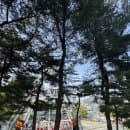 어린이날 가볼 만한 곳 서울 어린이대공원 놀이동산 주차 이용요금 내돈내산 후기 서울 나들이
