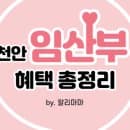 2021년 천안 임산부 혜택 공영주차장 주차요금 면제 (신청방법 및 주차장 주소)