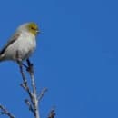 서울대 안양수목원 주차 요금 위치 대중교통