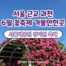 과천 6월 꽃축제 가볼만한곳 서울랜드 테마가든(요금/주차/가는법)| 서울대공원 테마가든 장미원 축제...