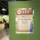 곤충 좋아하는 아이 필수 코스! 여주 곤충박물관 주차,요금, 운영시간 정보 총정리