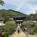 경북 영주 가볼만한 곳 부석사 사찰 후기 / 주차장, 요금