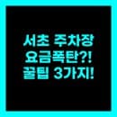 서초구 주차장 BEST 3 요금 폭탄 피하는 현장 꿀팅 정리..