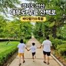 [경기도] 안산 대부도 여행 대부도 산책로 추천 부모...속 힐링 입장료 무료 주차요금 - 바다향기수목원