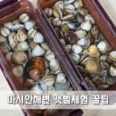 마시안해변 갯벌체험 19개월 아기랑 꿀팁 물때 시간 주차 대여 요금