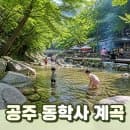 대전 근교 여름 피서지 공주 동학사 계곡 주차 요금부터 준비물까지 완벽정리