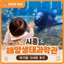 시흥 해양생태과학관 아기랑 다녀온 후기｜주차·요금·시설 총정리