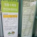 수원 영통 가볼만한곳 힐링 추천 영흥수목원 주차장 요금 서울근교나들이