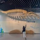 인천 아이랑 겨울 가볼만한곳 월미도해양박물관 국립 인천해양박물관 요금 예약 주차