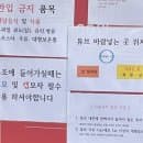 잠실한강공원 수영장 후기! 주차, 요금, 인피니티풀까지 솔직 리뷰!!