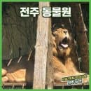 전주 동물원 남편과 함께한 주말 데이트 요금 주차 소요시간 주의사항 정리