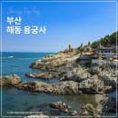 부산 해동 용궁사 주차장 주차 요금 가는길 풍경 리뷰