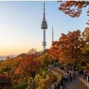 서울 야경 명소 N서울타워 남산 케이블카 요금 및 주차 꿀팁 (사랑의 자물쇠)