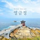 속초 영금정, 주차요금과 뷰포인트 재방문 꿀팁